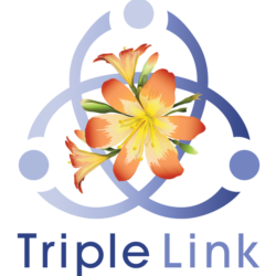 Triple link logo